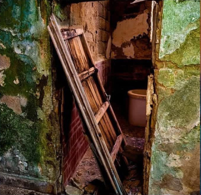 Rustic Interior Details